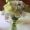 Gyp-white-bouquet-the-little-flower-shop-florist-london-chrysanthemum, rose and lisianthus vase bouquet white-min