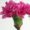 bouquet-builder-pink-carnation-hot-pink-rose-the-little-flower-shop-florist-london-bouquet-builder-build-a-bouquet-clapham-uk-delivery-brixton-delivery-streatham-flowers-bouquet