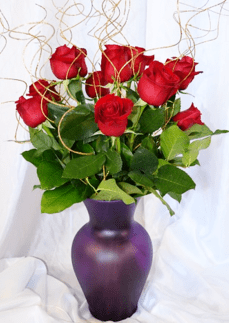 dozen red roses with decorative gold spirals_the_little_flower_shop_florist_online_bouquets-min
