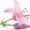 Pink lily-bouquet-builder-the-ittle-flower-shop-exotic-flowers-online