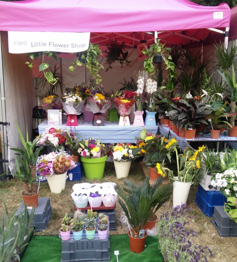 Bouquet Builder Make Your Own Bouquet The Little Flower Shop