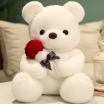 Teddy Bear with Red Rose